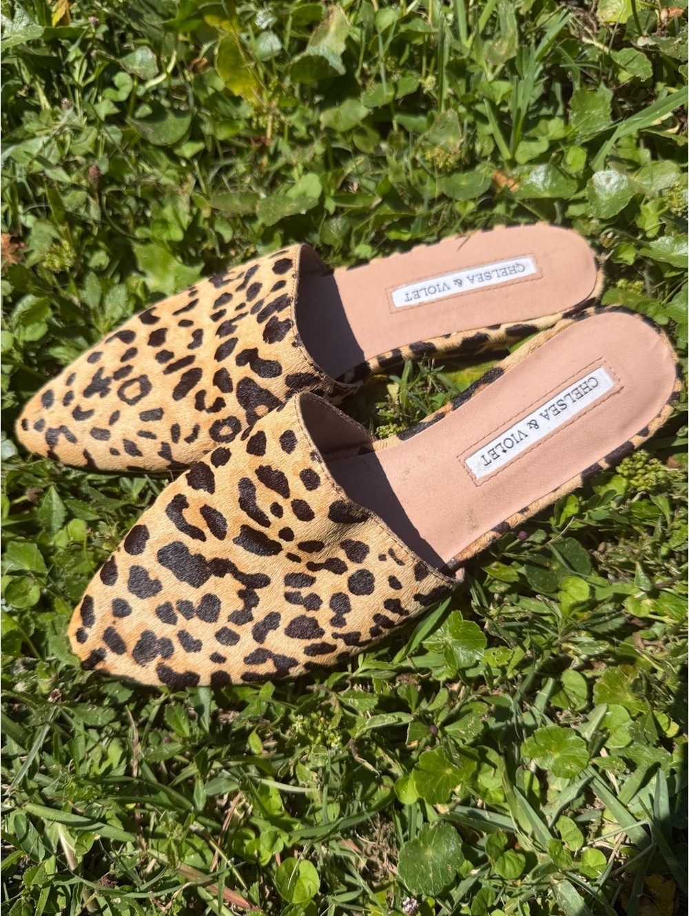 Chelsea & Violet Leopard-Print Pointed Slip-On Mules - Tan and Black